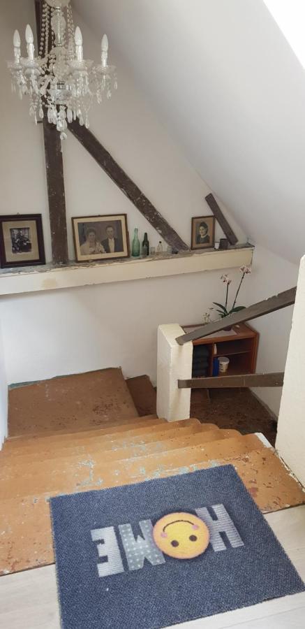 Ferienwohnung Salamander Pirna Buitenkant foto