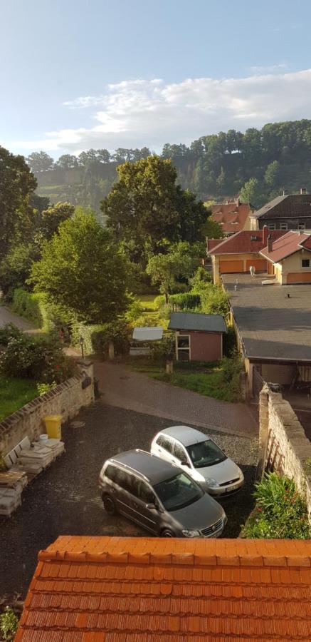 Ferienwohnung Salamander Pirna Buitenkant foto