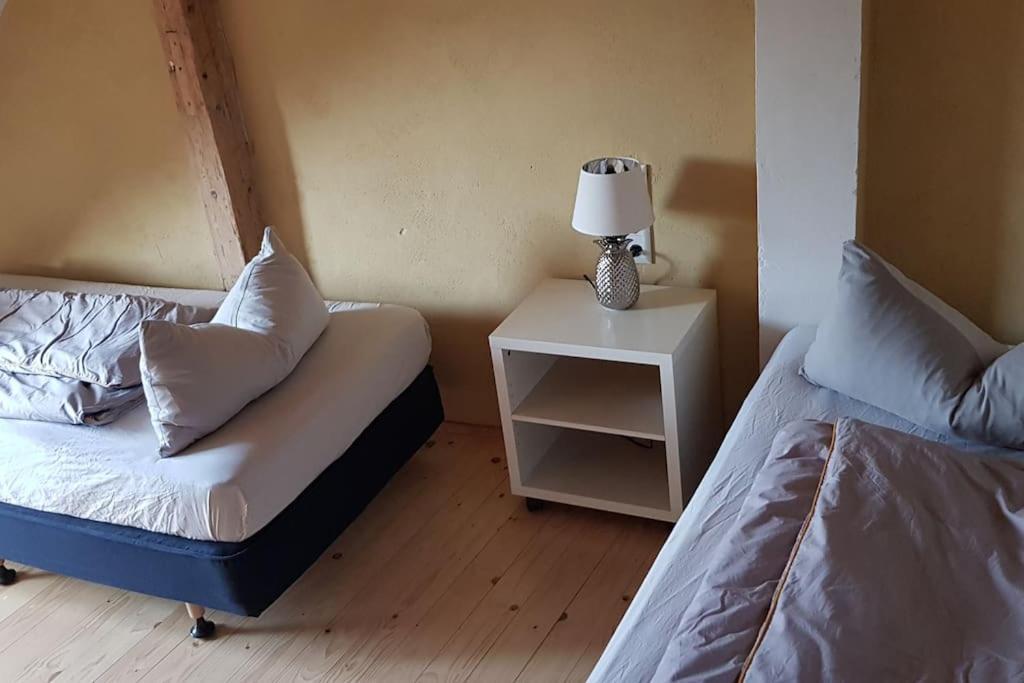 Ferienwohnung Salamander Pirna Buitenkant foto